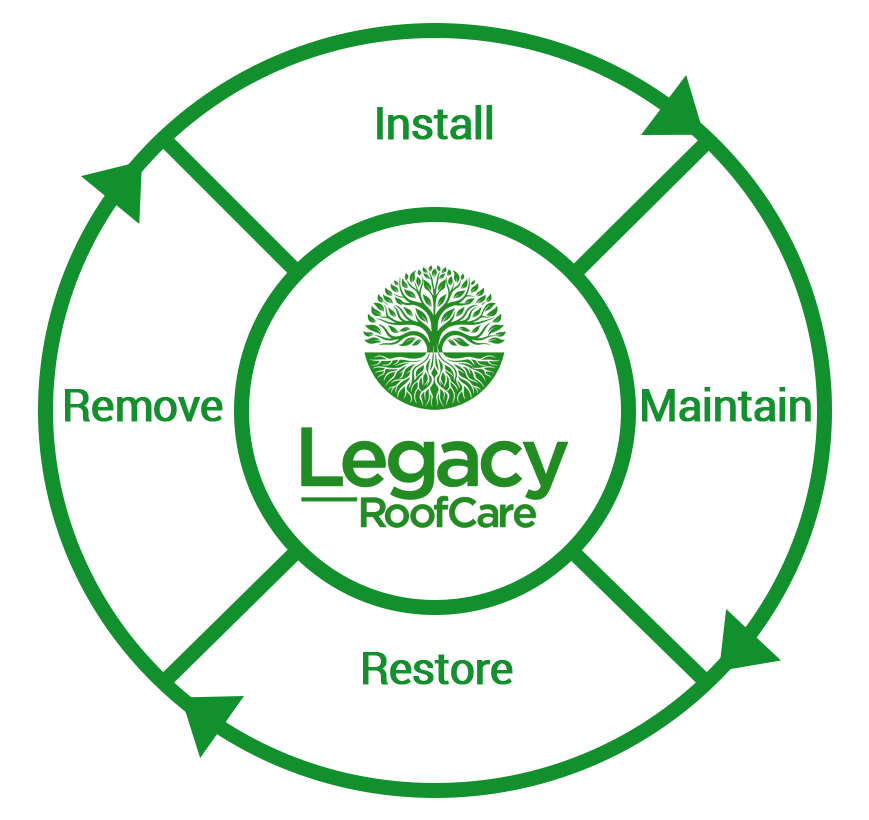 Commercial Roof Cycle 2