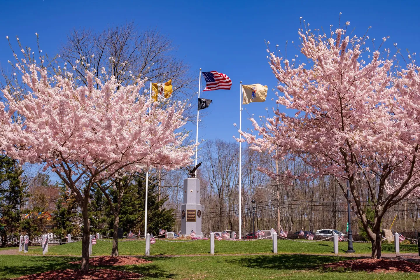 Parsippany-Troy-Hills