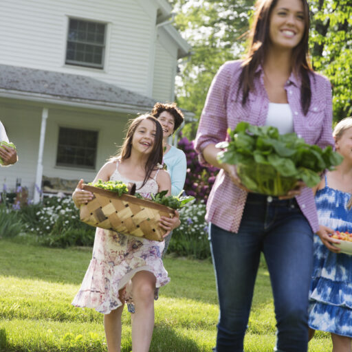 Curb Appeal In The Summer